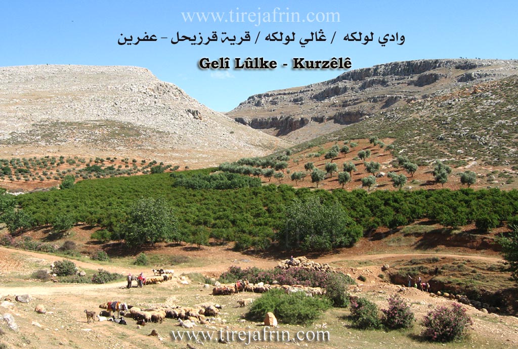 Photo of Kurzêlê